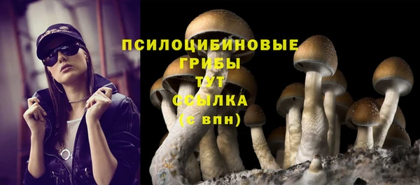 каннабис Баксан
