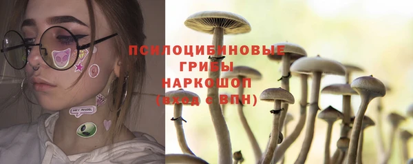 каннабис Баксан