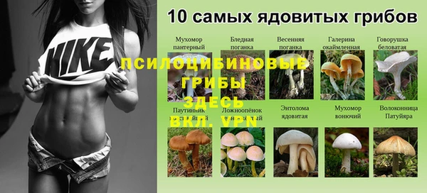 каннабис Аркадак