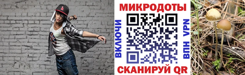 это Telegram купить наркоту OMG Нижнеудинск Псилоцибиновые грибы Cubensis